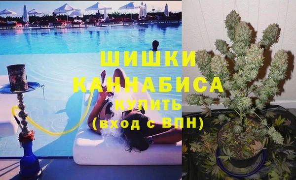 PSILOCYBIN Пересвет