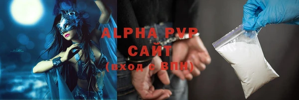 PSILOCYBIN Пересвет