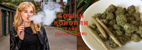 PSILOCYBIN Пересвет